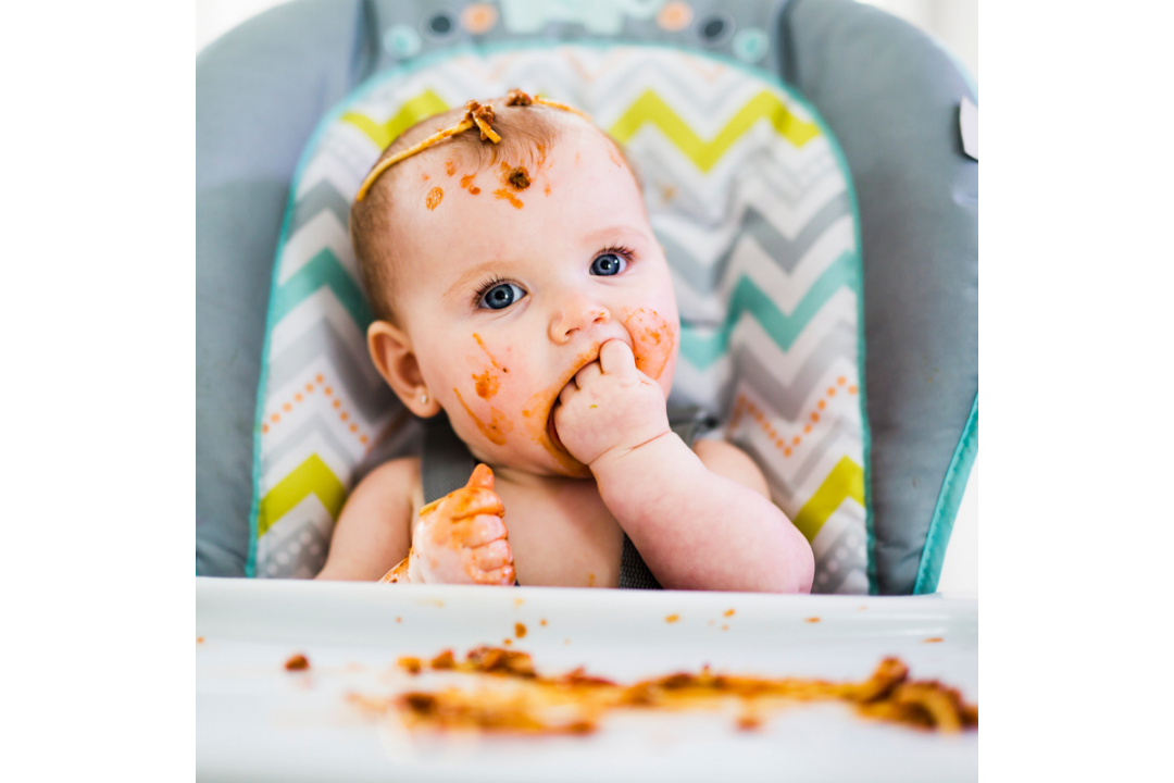 Baby-Led Weaning, Alimentación complementaria y Lactancia Materna